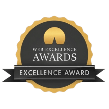 Web Excellence Awards for Via313